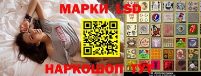 прущие грибы Ставрополь